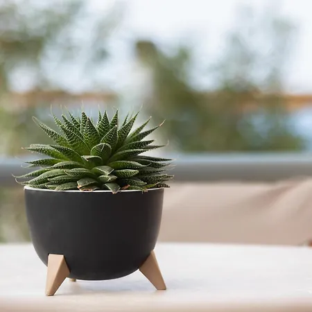 Olive Crete Appartement *