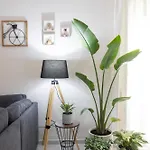 Olive Crete Апартаменти *