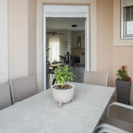 Olive Crete
