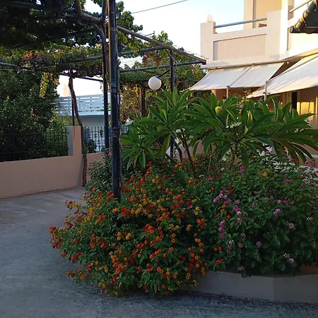 Olive Crete Апартаменти