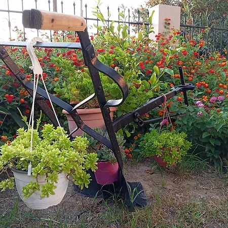 Olive Crete Apartment Rethymno