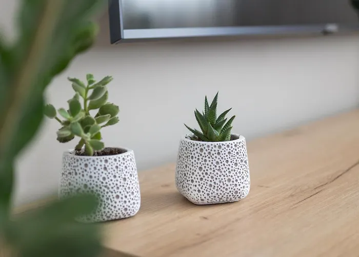 Appartamento Olive Crete Rethymno