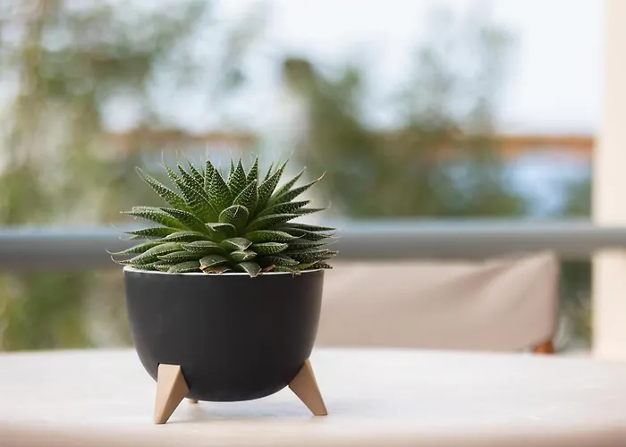 Olive Crete Apartment *