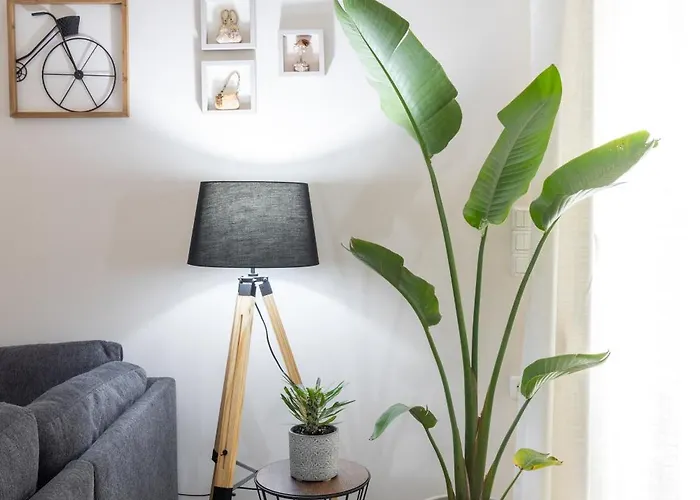 Olive Crete Apartment *