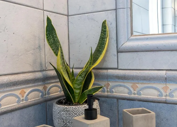 Olive Crete Rethymno