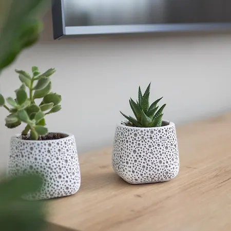 Apartmán Olive Crete Rethymno