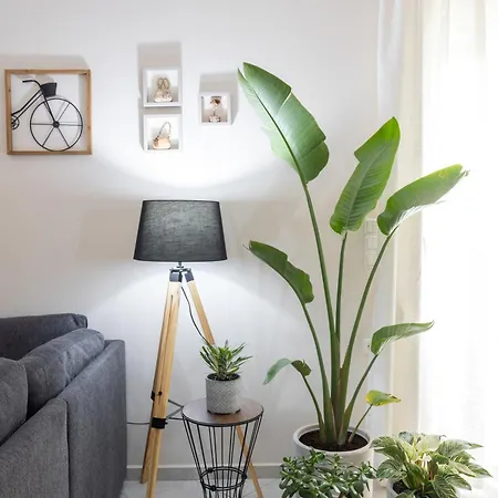 Olive Crete Apartament *