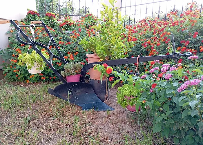 Apartamento Olive Crete Rétino