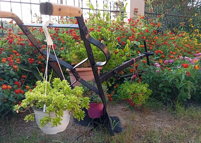 Olive Crete Apartamento Rétino